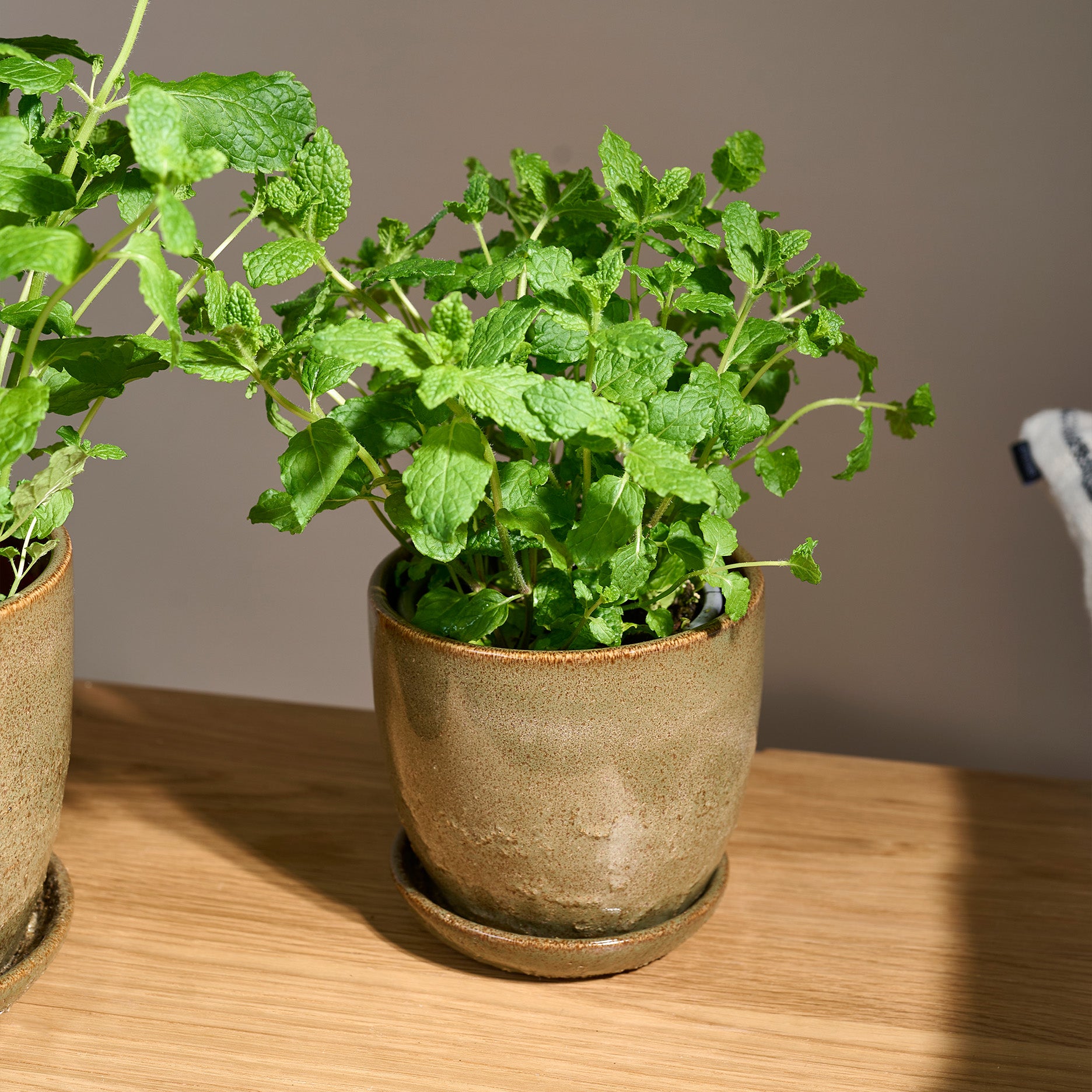 Pio II urtepotte Ø12 cm